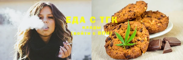 индика Вязники