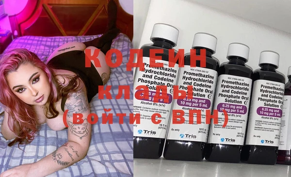 индика Вязники