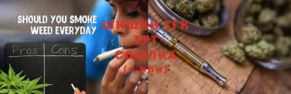 индика Вязники