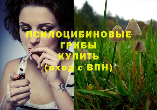 2c-b Вязьма