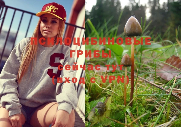 индика Вязники