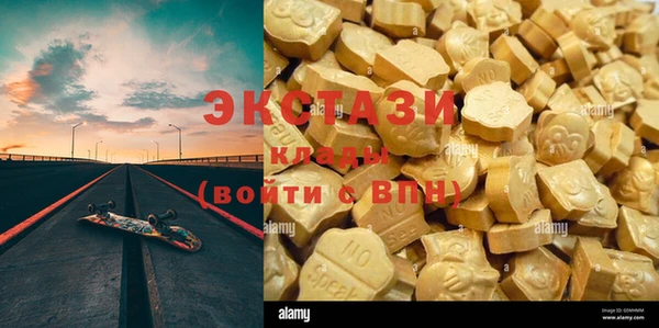 индика Вязники