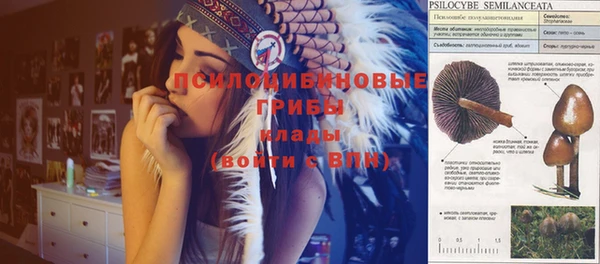 индика Вязники