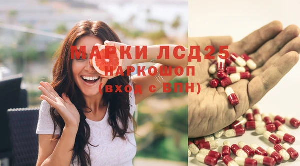 винт Горняк